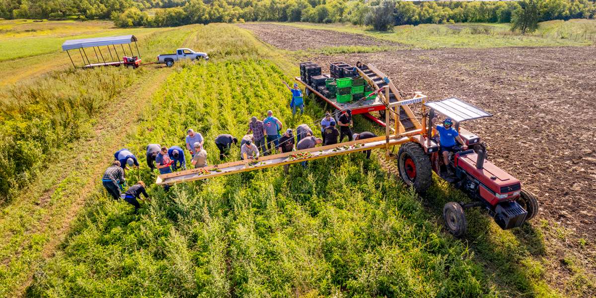 Farmers