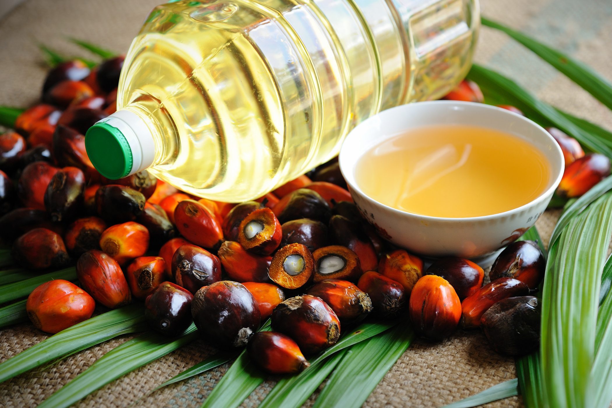 palm oil 1